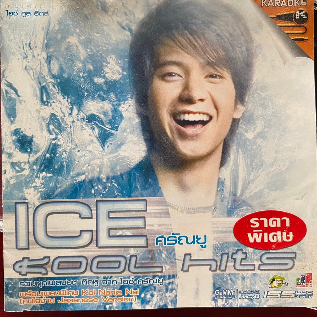 VCD ไอซ์ ศรัณยู : ICE KOOL HITS | Shopee Thailand