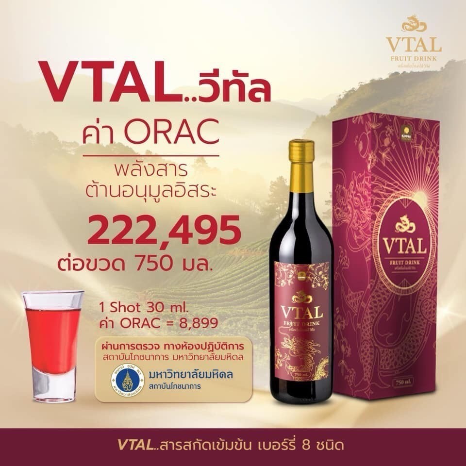 VTAL วีทัล เครื่องดื่มน้ำผลไม้ สารสกัดเบอร์รี่เข้มข้น เพื่อสุขภาพ 750 ...
