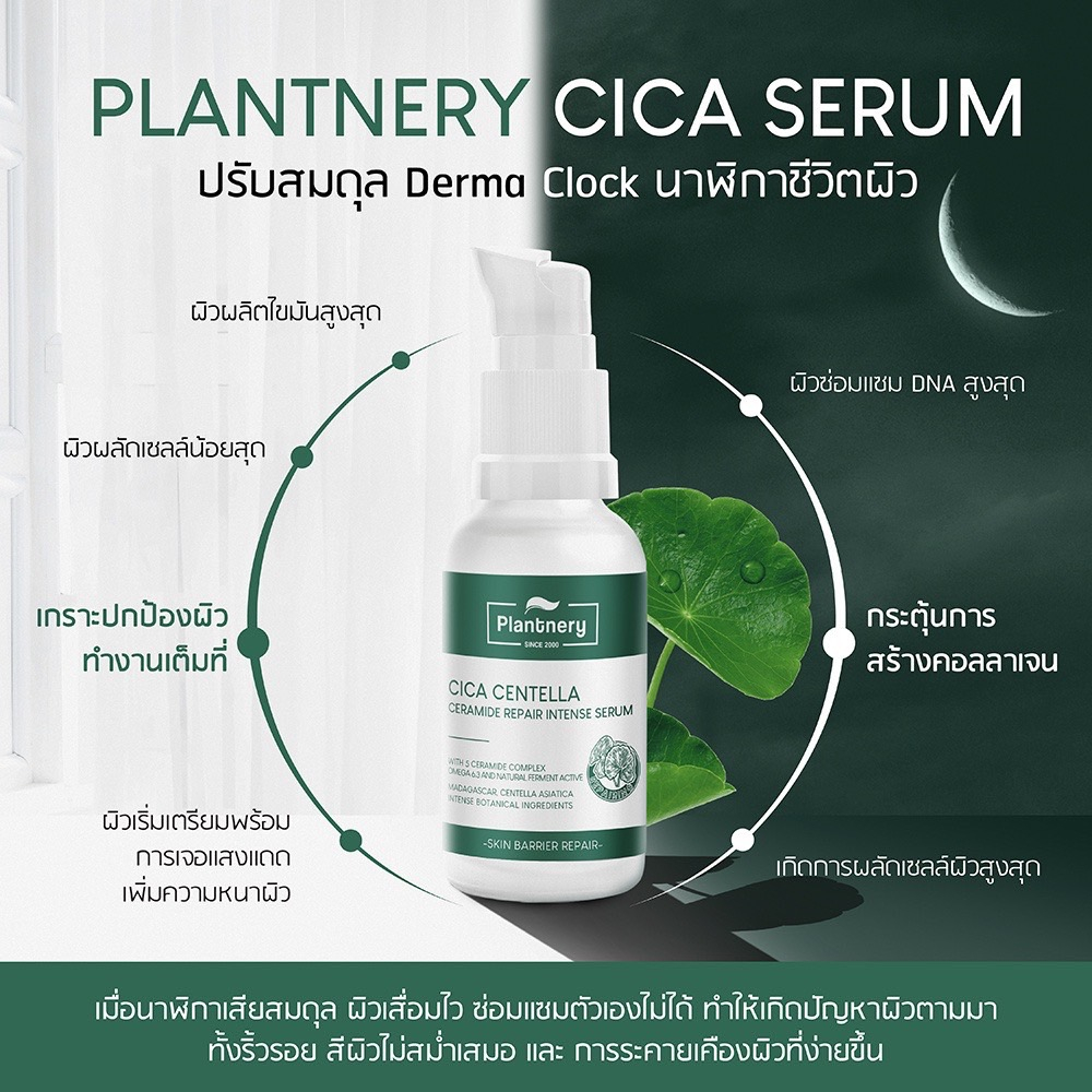 plantnery-cica-centella-ceramide-repair-intense-serum-30-ml-เซรั่มสำหรับผู้มีปัญหาสิวผด-ผิวระคายเคือง