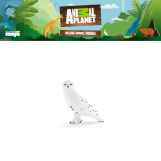 โมเดล ของเล่นเด็ก Animal Planet Model 387201P Snowy Owl