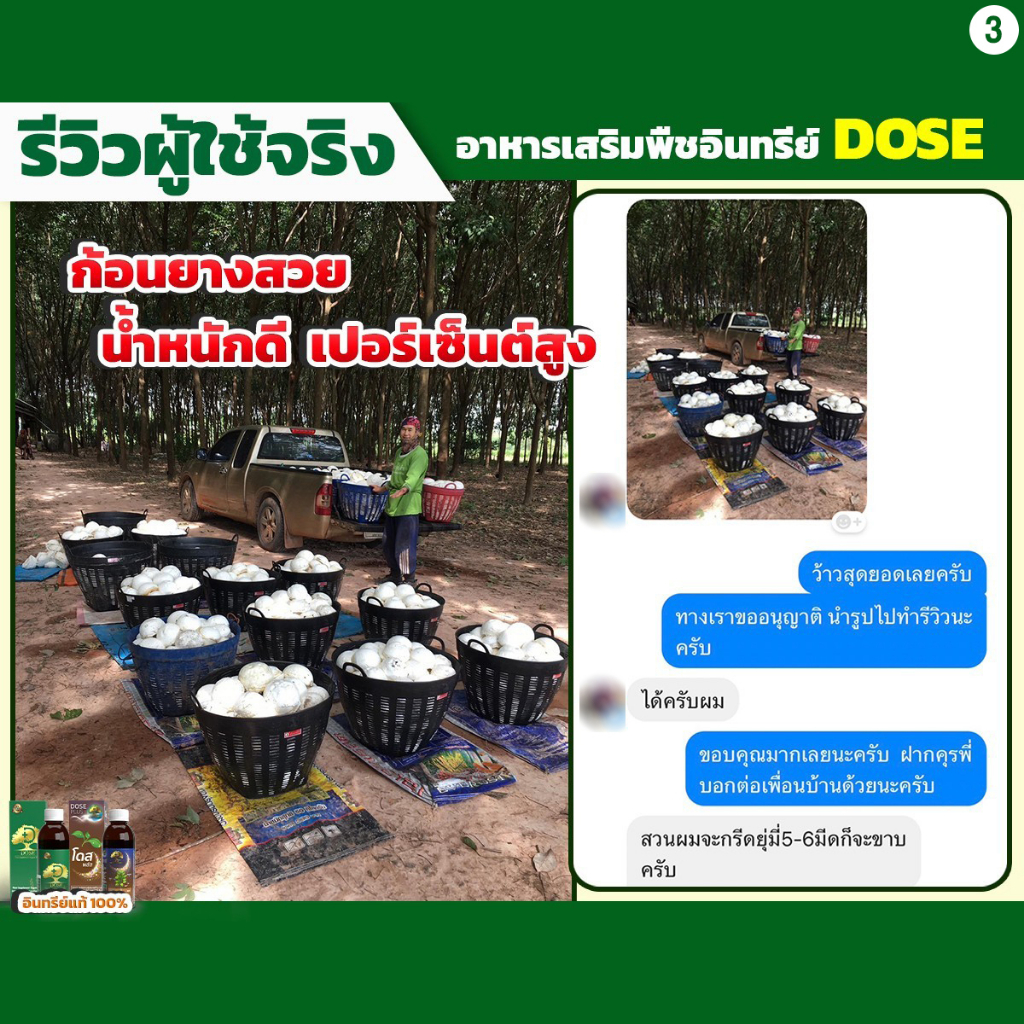 ชุดคุ้ม-dose-สินค้าเกษตร-เพิ่มน้ำยาง-3-5-เท่าเห็นผลไว-น้ำยางไหลดี-ผลผลิตดี-แก้หน้ายางตายนึ่ง-เชื้อรา-แถมเสื้อ