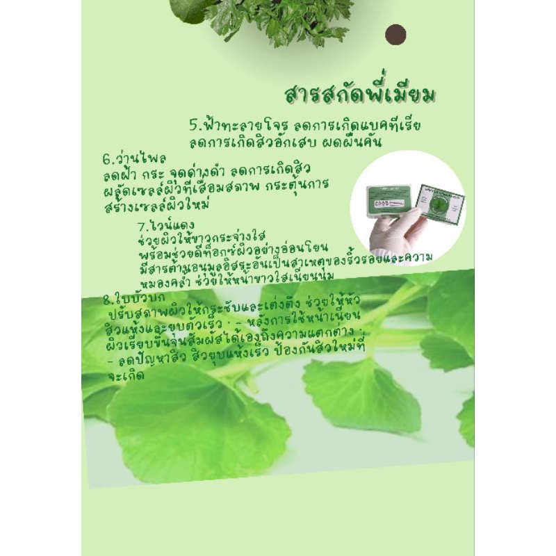 สบู่รักษาสิวโดนเฉพาะ-สบู่ใบบัวบก-ส่งฟรี-เจ้าของแบรนด์-สูตรอ่อนโยนต่อผิวแพ้ง่าย