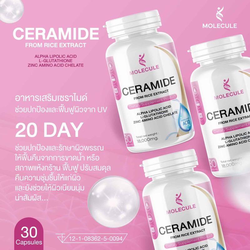 11-11-1แถม1-molecule-โมเลกุล-30-แคปซูล-คละทุกสูตร-apple-cider