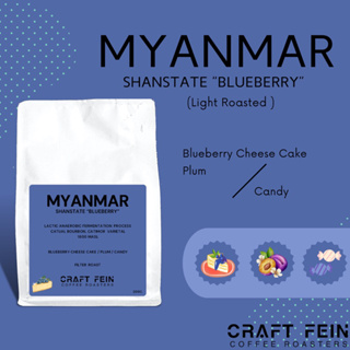 เมล็ดกาแฟ Myanmar Shanstate “Blueberry”  ขนาด 100 - 200 กรัม  |  CRAFT FEIN