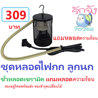 โคมไฟกกนก สัตว์เลี้ยง แถมหลอด 100 W ของอยู่ไทย พร้อมส่ง