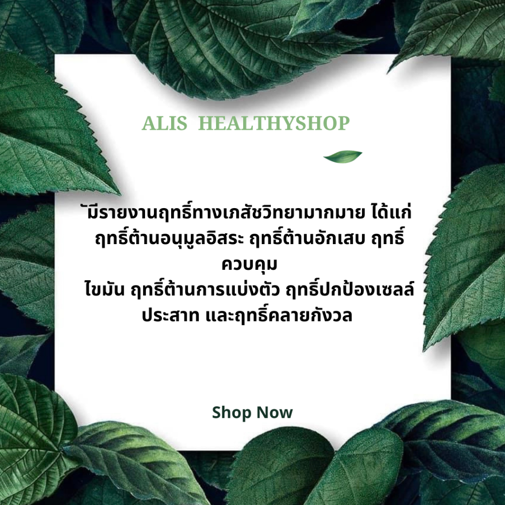 มีอย-ชาเจียวกู่หลาน-ชาสุขภาพ-organic-เครื่องดื่ม-ชาเจี่ยวกู้หลาน-ปัญจขันธ์-จากยอดดอย-แท้-100-ชนิดซอง-สะดวกกว่า