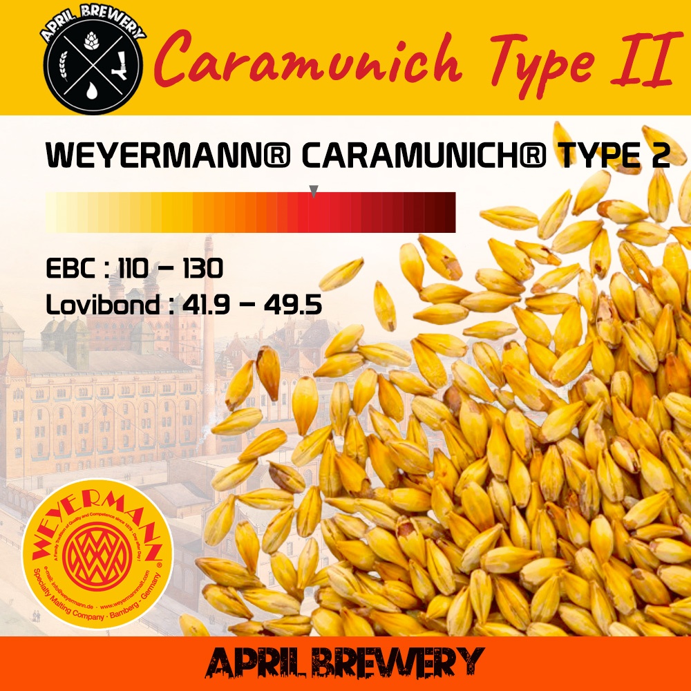 มอลต์ CARAMUNICH TYPE 2 (II) Malt Weyermann Malt ทำเบียร์ จาก Germany ...