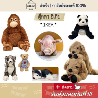ส่งเร็ว I อิเกีย I พร้อมส่ง ตุ๊กตาอิเกีย ตุ๊กตามหมาโกลเด้น ตุ๊กตาหมา ตุ๊กตาหมาฮัสกี้ ตุ๊กตาแมว ตุ๊กตา IKEA