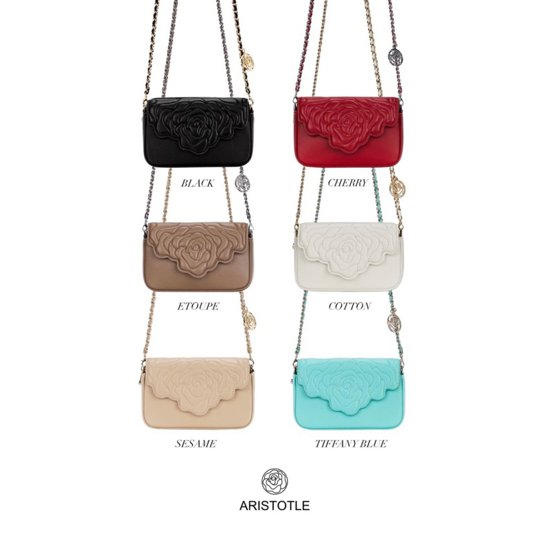 aristotle-bag-carry-all