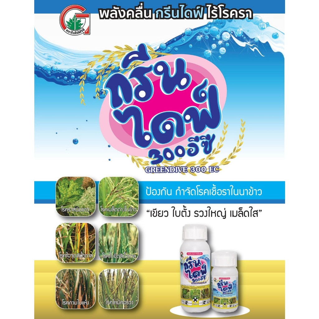 ทรีนไดฟ์-500ml-ไดฟีโนโคนาโซล-โพรพิโคนาโซล-สารกำจัดเชื้อรา-โรคเมล็ดด่าง-โรคราสนิม-โรคใบจุดสีน้ำตาล