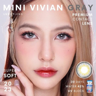 🔥คอนแทคเลนส์✨ขนาดมินิ✨Gray✨Mini Vivian (Luxzylens)