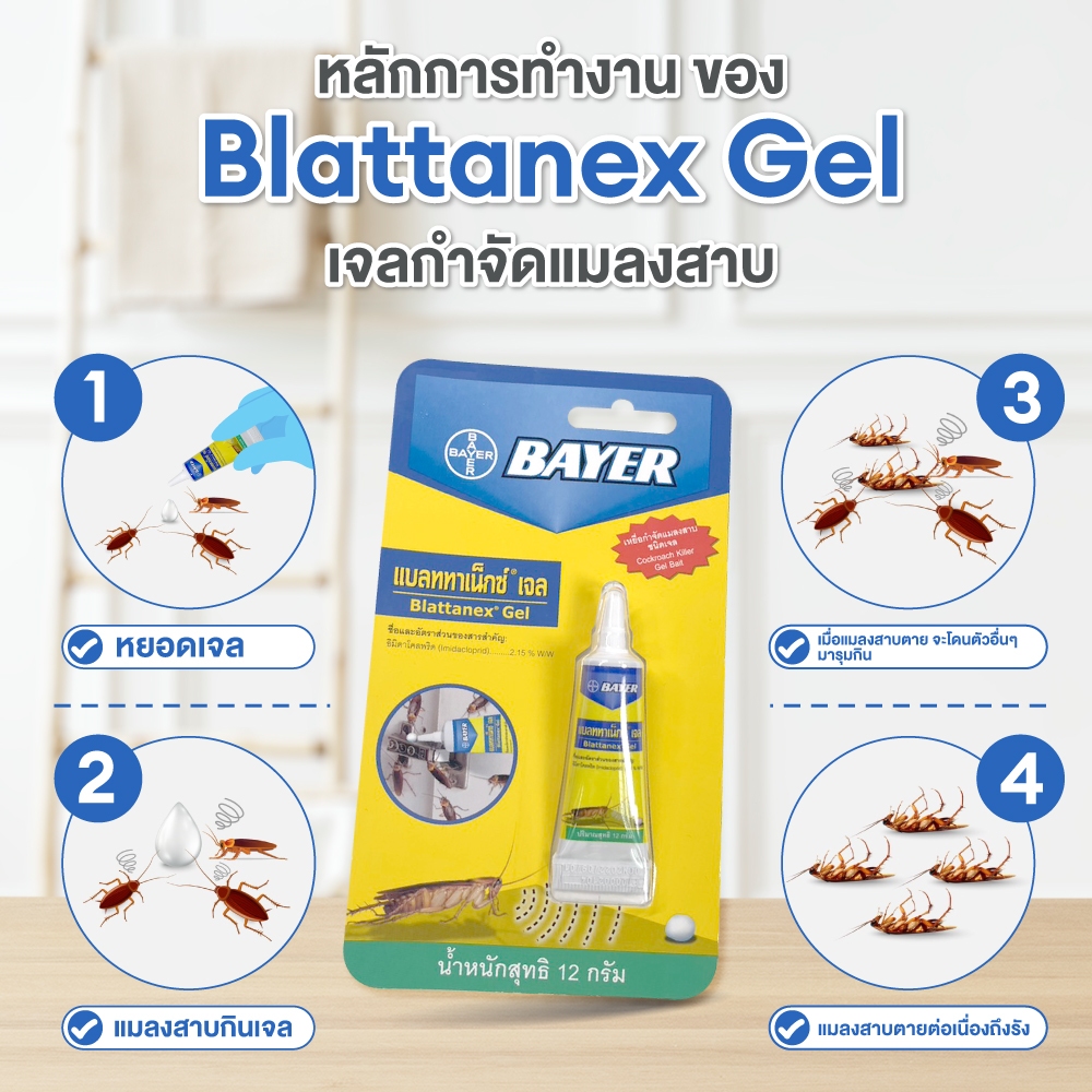 blattanex-gel-เจลกำจัดแมลงสาบ-แบลททาเน็กซ์-เจล-12-กรัม-แพ็ก-12