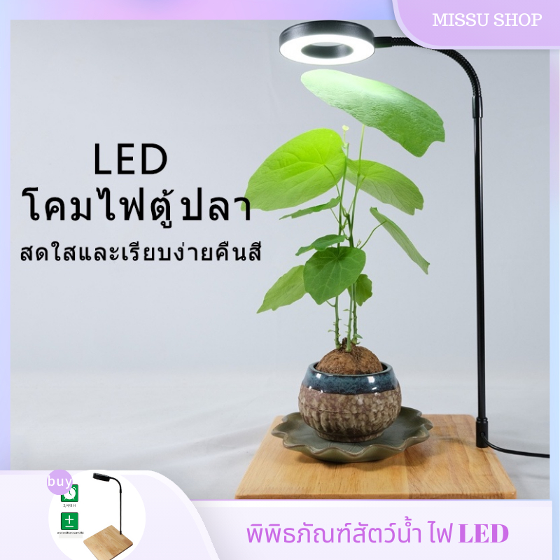 พิพิธภัณฑ์สัตว์น้ำ-ไฟ-led