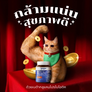 ภาพหน้าปกสินค้าGager (กาเจอร์) ผงวิตามินสัตว์ ผงวิตามินแมว ผงเบต้ากลูแคน+โปรไบโอติค วิตามินเสริมสร้างภูมิคุ้มกัน กลิ่นไก่ผสมตับ (100g) ที่เกี่ยวข้อง