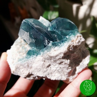 ผลึกฟลูออไรท์สีเขียวธรรมชาติ(Green Cubic Fluorite Cluster)​