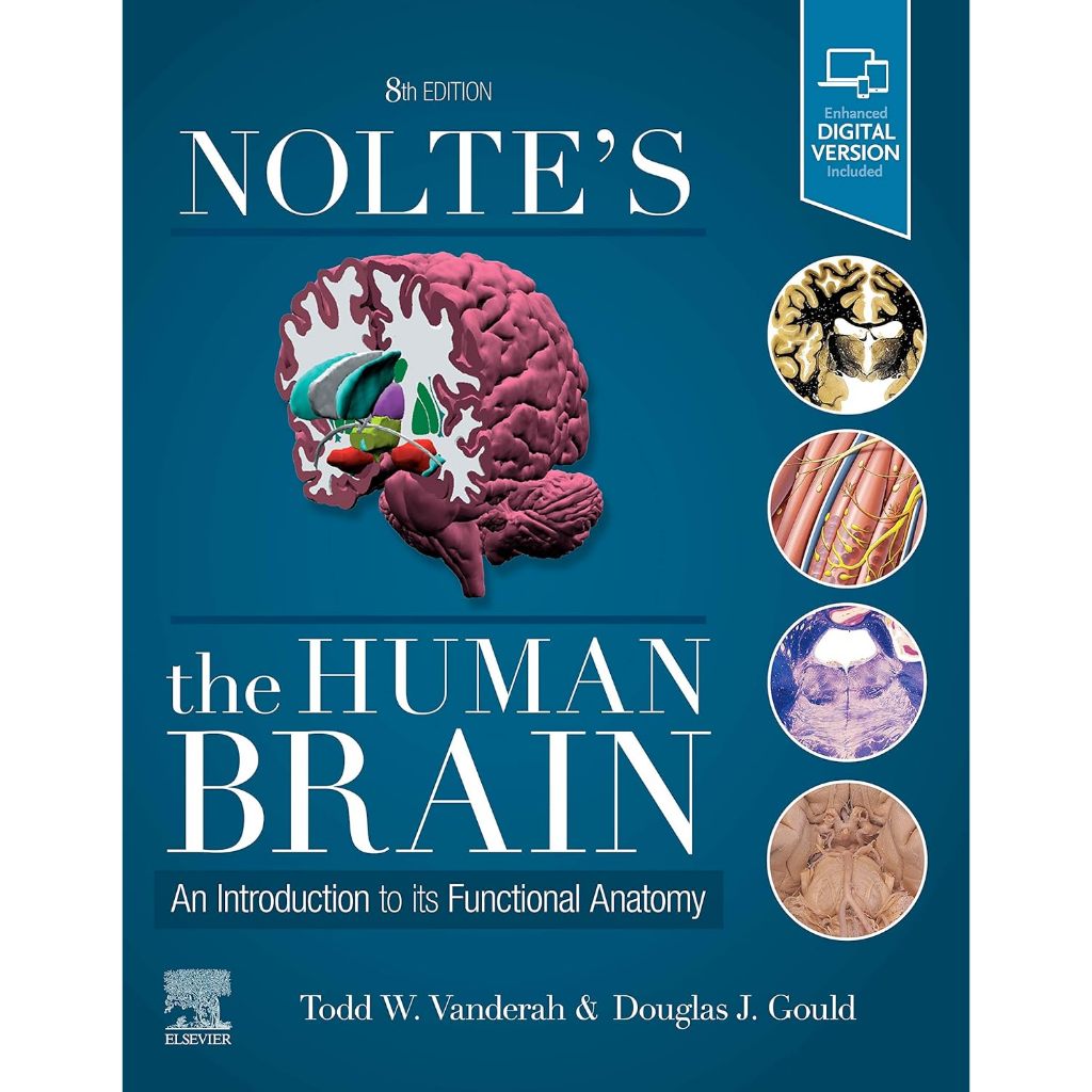หนังสือ Nolte's The Human Brain Functional Anatomy ตำรา กายวิภาคศาสตร์ ...