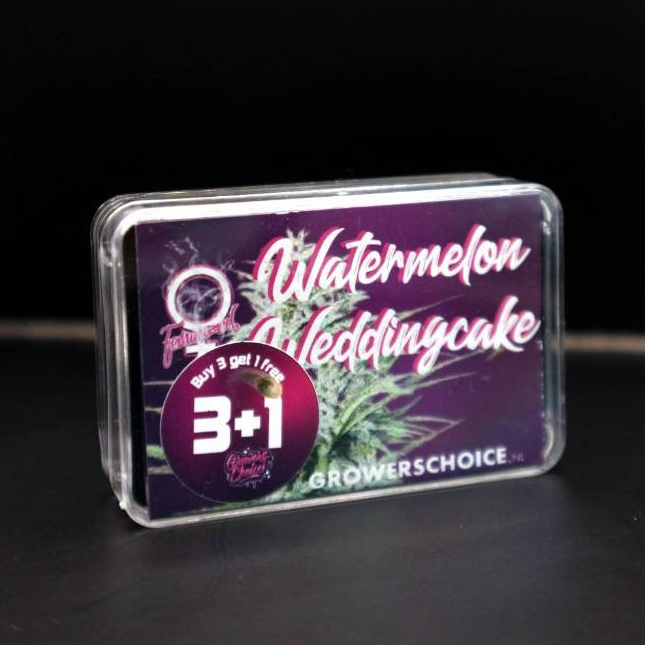 เมล็ด Watermelon Weddingcake Growers Choice Shopee Thailand
