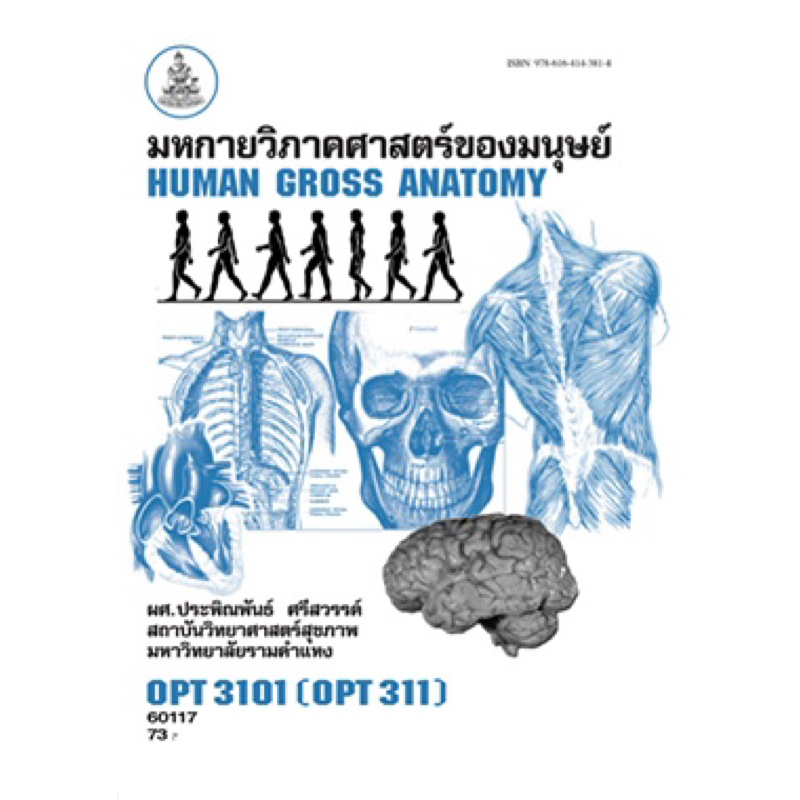 ตำราเรียน ม.ราม OPT3101 (OPT311) มหกายวิภาคศาสตร์ของมนุษย์ | Shopee ...