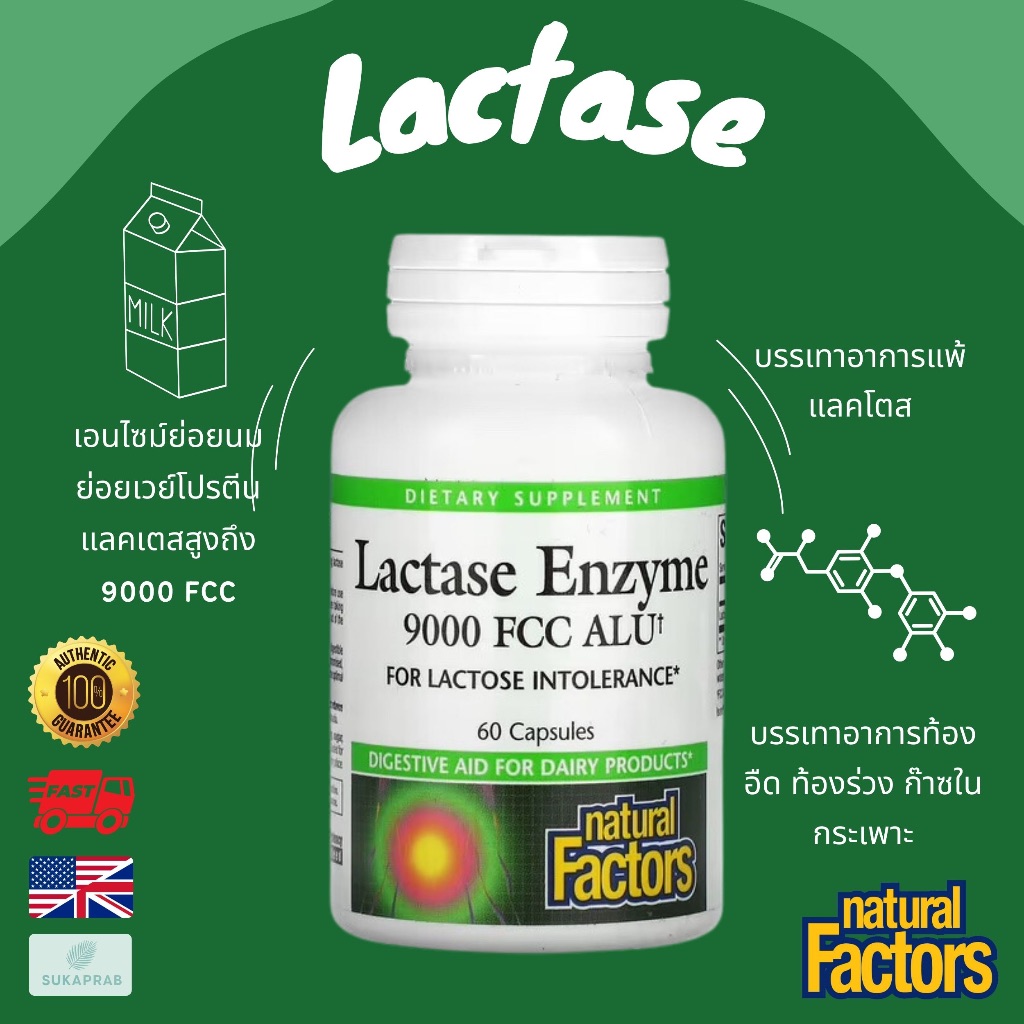 พร้อมส่ง Natural Factors Lactase Enzyme 9,000 FCC ALU 60 Capsules