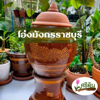 โอ่งมังกรราชบุรี พร้อมฝากับขารอง ขนาดเล็ก โอ่งดินเผาเคลือบเงา photo