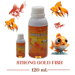 fish head ราคาพิเศษ  ซื้อออนไลน์ที่ Shopee ส่งฟรี*ทั่วไทย!