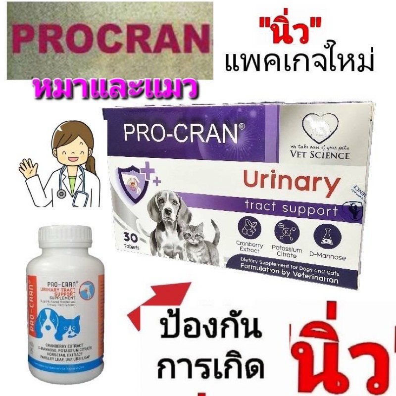 วิตามินป้องกันการเกิดนิ่วpro cranลดโอกาสติดเชื้อกระเพาะปัสสาวะ10,20,30 ...