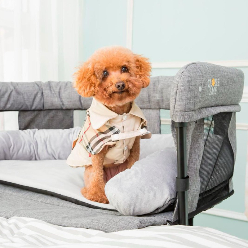 Marcus & Marcus Close2Me Pet Bed ที่นอน co sleeper สำหรับสุนัขและแมว ...