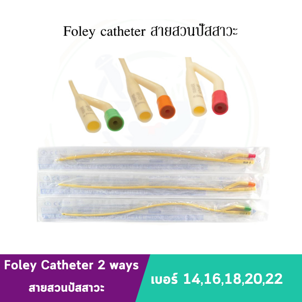 สายสวนปัสสาวะ Foley Catheter 2 ways เบอร์ 14,16,18,20,22 Fr./ch เคลือบ ...