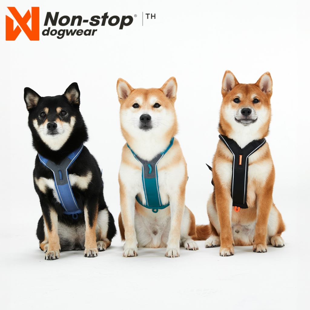 Koop Non-Stop - Line Harness 5.0 - RP Purple/Pink - 4 - Gratis verzending