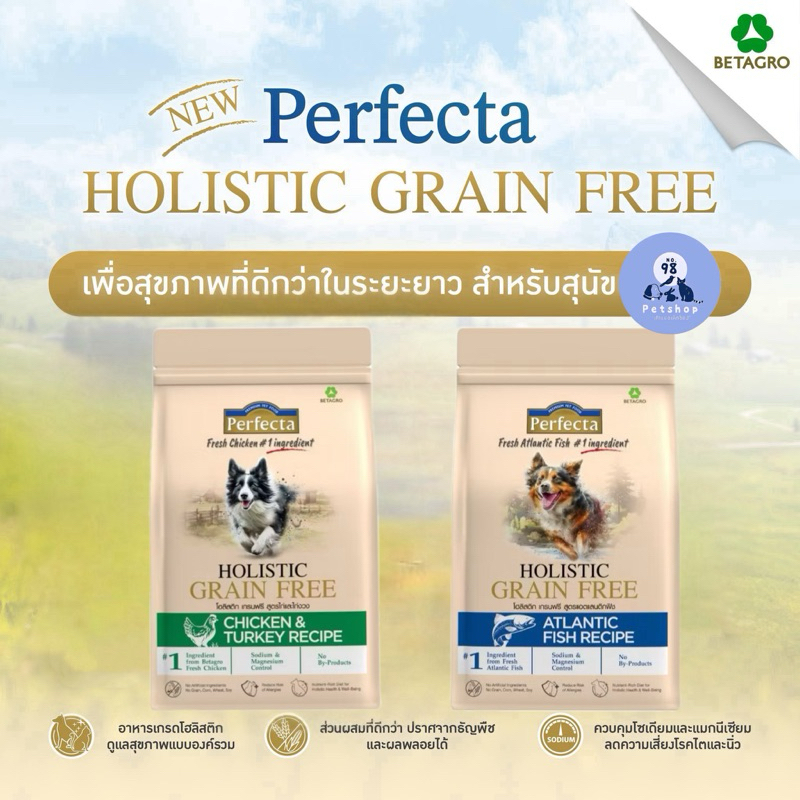 Holistic Grain Free Puppy Food With Ginseng And Sunflower Seeds