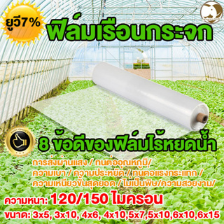 พลาสติกโรงเรือนคุณภาพสูง โรงเรือนปลูกผัก ใสหนาผ้าคลุมโรงเรือน 120/150ไมครอน โรงเรือนเพาะชำพลาสติก คลุมหลังคา ปูบ่อน้ำ