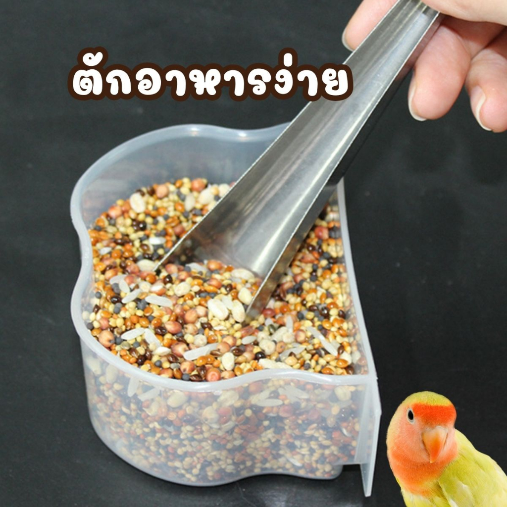 พร้อมส่ง-จากไทย-ช้อนให้อาหาร-ช้อนอาหาร-นก-ช้อนตักอาหารสัตว์-ช้อนตักอาหารนก-ช้อนอาหารนก-แสตนเลส-เหล็ก
