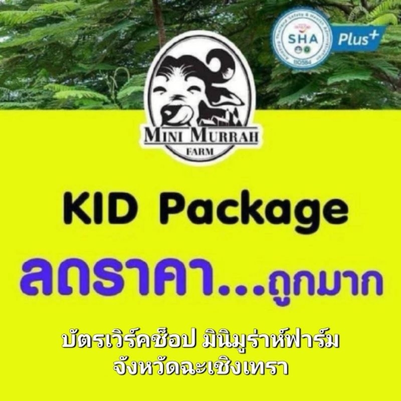 mini-murrah-farm-บัตรเวิร์คช็อป-มินิ-มูร่าห์-ฟาร์ม-จังหวัดฉะเชิงเทรา