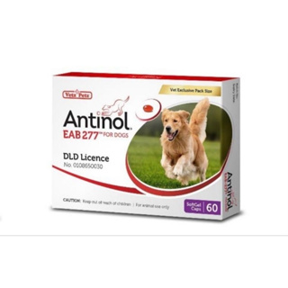 Antinol DOG ช่วยบำรุงข้อ กระดูก ขน ผิวหนัง และไต(1 กล่อง 60 caps) สำหรับสัตว์เลี้ยง EXP.03/2025
