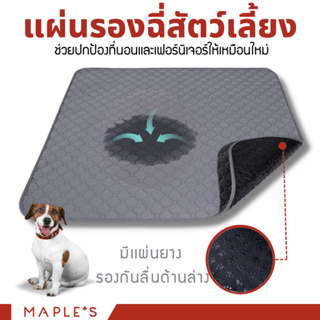 MAPLE'S (Valla) แผ่นรองฉี่สัตว์เลี้ยง ซักใช้ซ้ำได้ ผ้าซับฉี่ ผ้ารองฉี่หมา เเมว กระต่าย ผ้าอ้อมสุนัข ผ้าคลุมเบาะรถยนต์