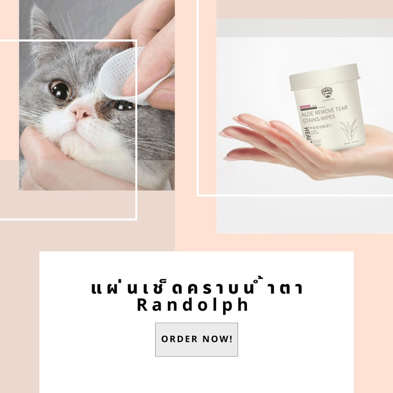 แผ่นเช็ดคราบน้ำตา-randolph