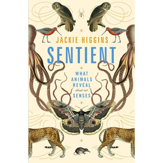 Sentient What Animals Reveal About Our Senses Jackie Higgins Hardback