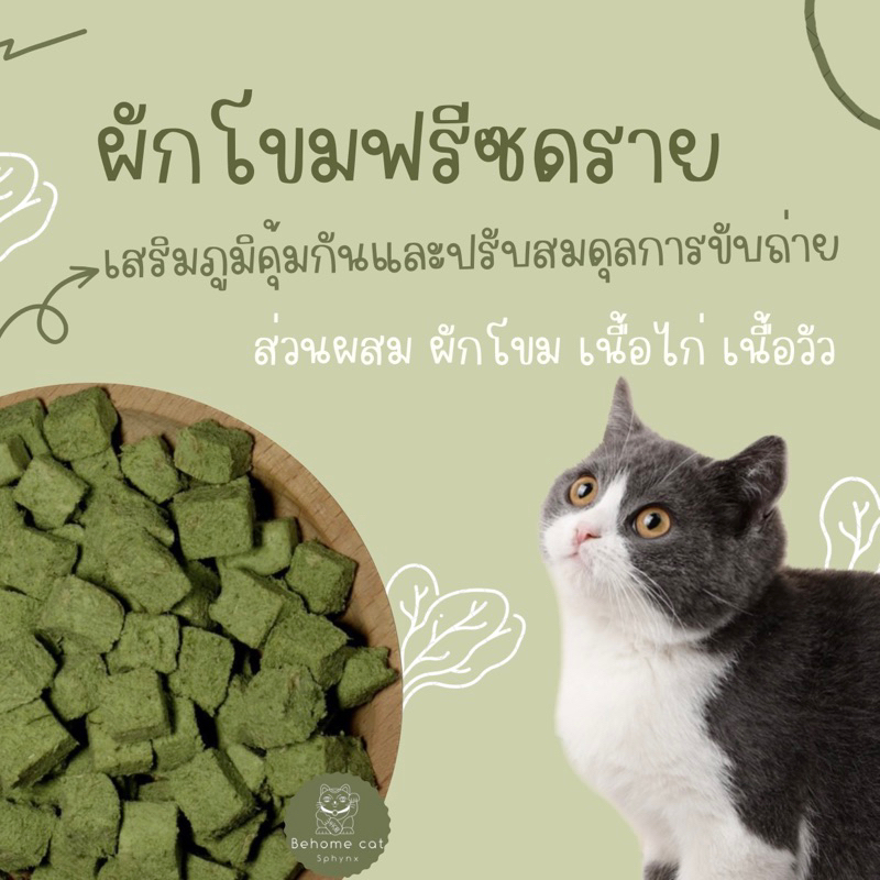 ผักโขมฟรีซดราย-ขนมฟรีซดราย-ขนมสำหรับสัตว์เลี้ยง