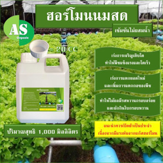 ฮอร์โมนนมสด 1,000 มิลลิลิตร 🥛 ช่วยให้ผักมีรสชาติหวาน กรอบ อร่อยยิ่งขึ้น🥦🥬