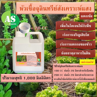 หัวเชื้อจุลินทรีย์สังเคราะห์แสง บรรจุ 1,000 มิลลิลิตร