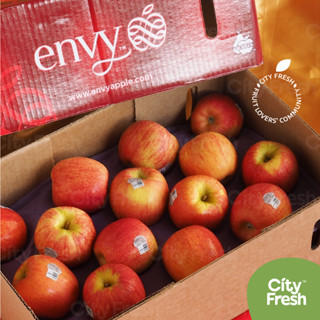 CityFresh (ยกลัง) แอปเปิล Apple Envy จากนิวซีแลนด์ ผลไม้นำเข้า