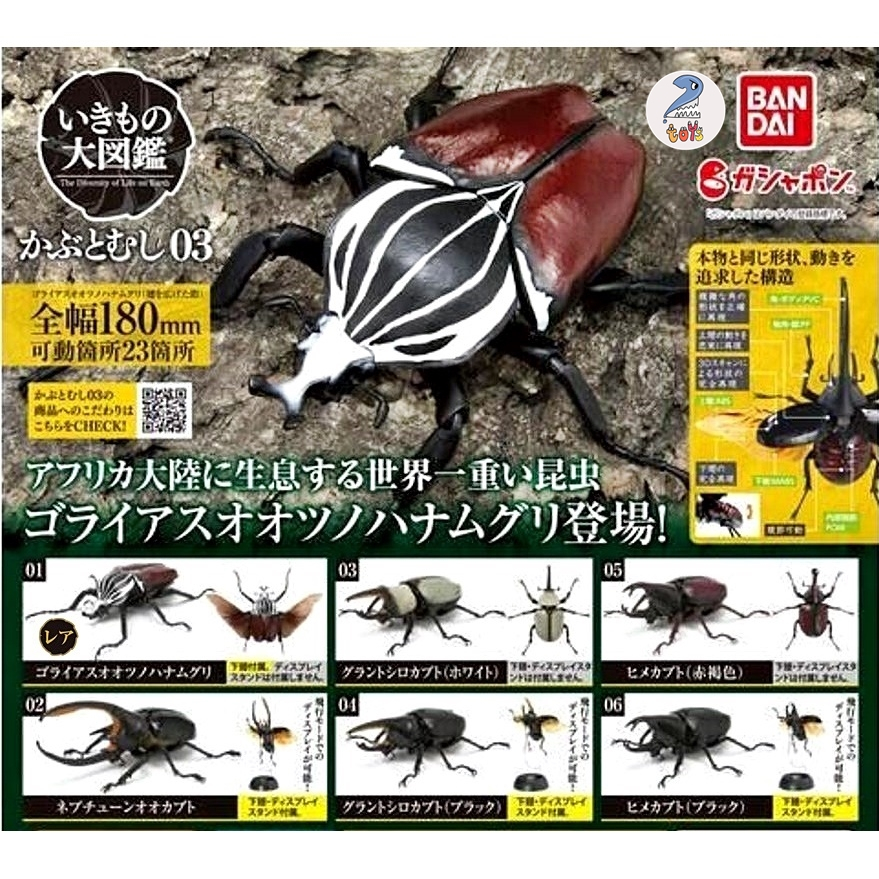 กาชาปองด้วง-โมเดล-gashapon-bandai-kuwagata-hercules-beetle-action-vol-03-จุดขยับ-โมเดลสัตว์-ลิขสิทธิ์แท้