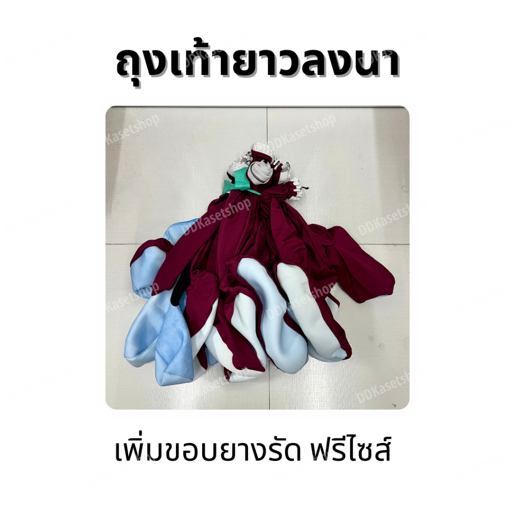 ถุงเท้ายาวลงนา-ถุงเท้าตีนเป็ด-กันหอย-กันทาก-สำหรับใส่ทำนา-เพิ่มขอบยางรัด-ฟรีไซส์-คละแบบ-คละลาย-คละสี