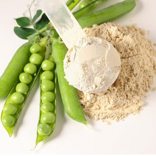 Fitfood - Pea Protein (Banana&amp;Stevia) 500g /โปรตีนถั่ว ผสมกล้วยและหญ้าหวาน 500 กรัม