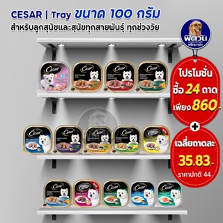 อาหารสุนัขเปียกซีซาร์ชนิดถาด ขนาด 100 กรัม (x24ถาด)