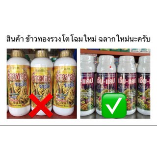 ข้าวทองรวงโต-&gt;เอ็ม-แคป ฮอร์โมนเร่งน้ำนมข้าวเมล็ดเต่งได้น้ำหนัก