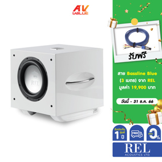 REL Acoustics S/510 12” 500 Watts