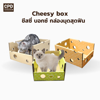 บ้านแมว ของเล่นแมว ที่นอนแมว CHEES-Y Box