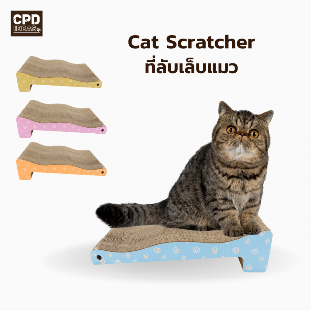 บ้านแมว-กระดาษลูกฟูก-ของเล่นแมว-ที่นอนแมว-ที่ลับเล็บแมว-cat-scratcher