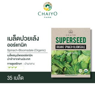 เมล็ด SPINACH-Bloomsdale (Organic) ปวยเล้ง  ออร์แกนิค